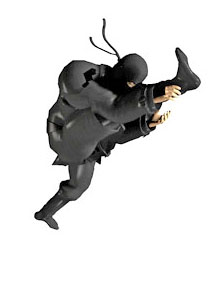 Kata ashi tobi keri – One Leg Jump Kick